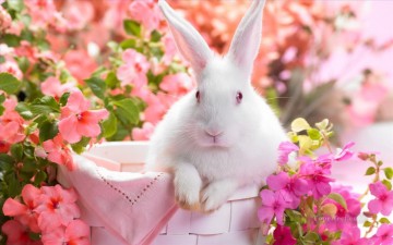 From Photos Realistic Painting - Springtime Bunny in Pink Flowers Painting from Photos to Art